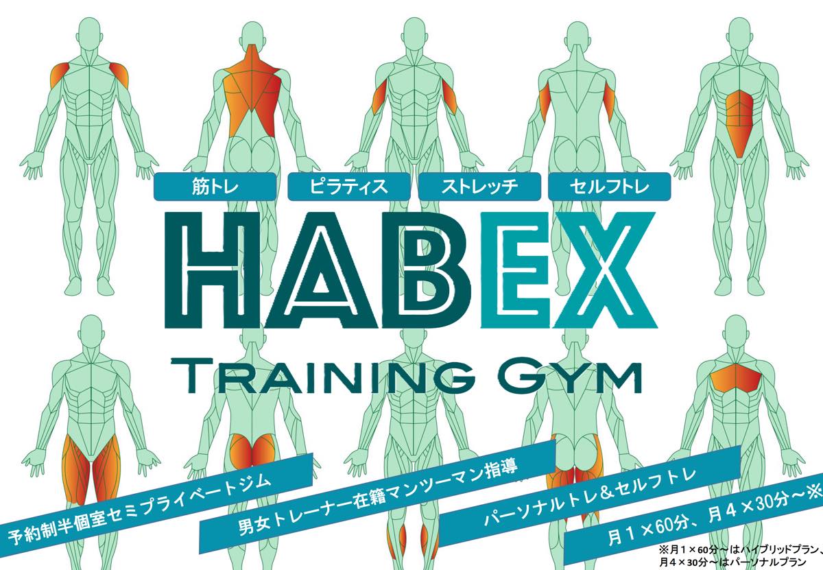 HABEX TRAINING GYM (ハベックス)のジム公式画像